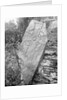 Runic Cross Onchan (Thurith's Cross), Isle of Man by George Bellett Cowen